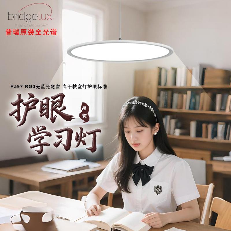 普瑞全光谱家用餐厅灯吊灯书桌学习灯设计师吧台餐厅吊灯灯具中山