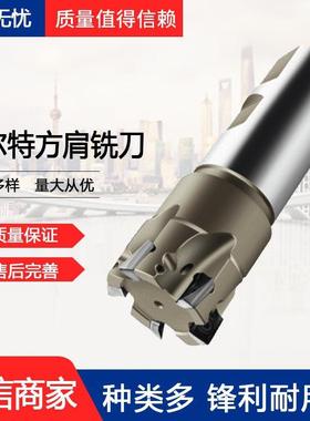 瓦尔特-Walte德国F4042.W25.025.Z03.11方肩铣