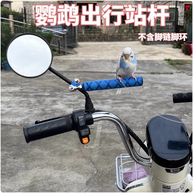 虎皮牡丹玄凤鹦鹉车用站架脚链外出电动车摩托车通用版遛鸟神器