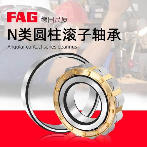 进口FAG圆柱轴承N311 N312 N313 N314 N315 N316 N317E-TVP2-M1C3
