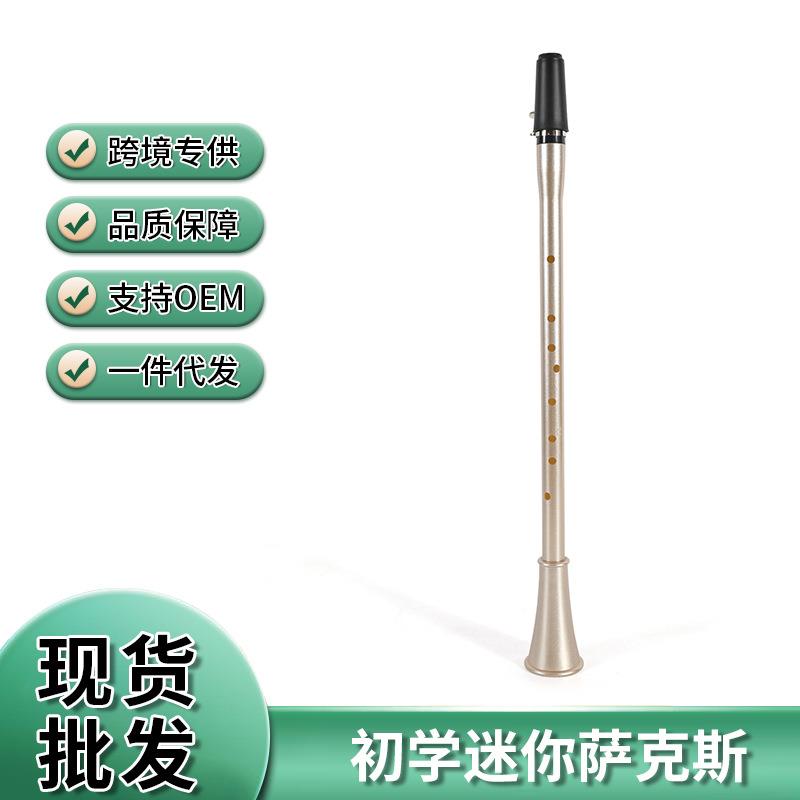 跨境初学者迷你萨克斯口袋萨克斯单簧管乐器简易萨黑管西洋管乐器