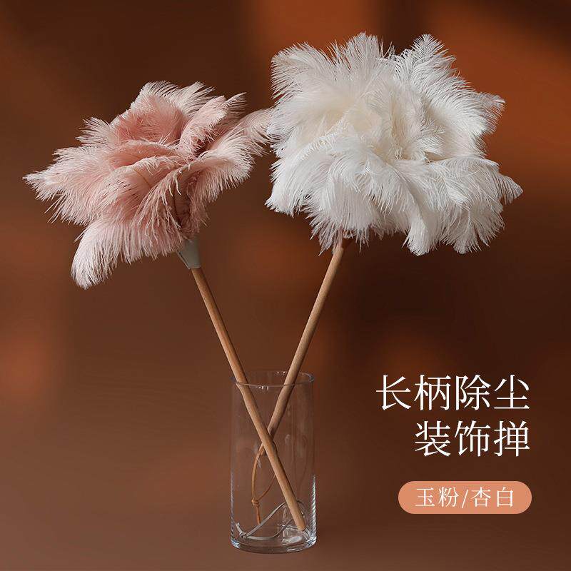 杏白鸡毛掸子家用钢琴除尘鸵鸟羽毛扫灰尘装饰品灰尘清理神器