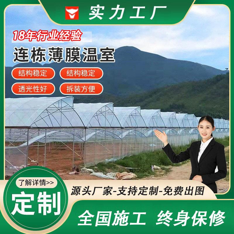 连栋薄膜温室大棚 瓜果蔬菜种植棚 塑料连体大棚 智能温室大棚