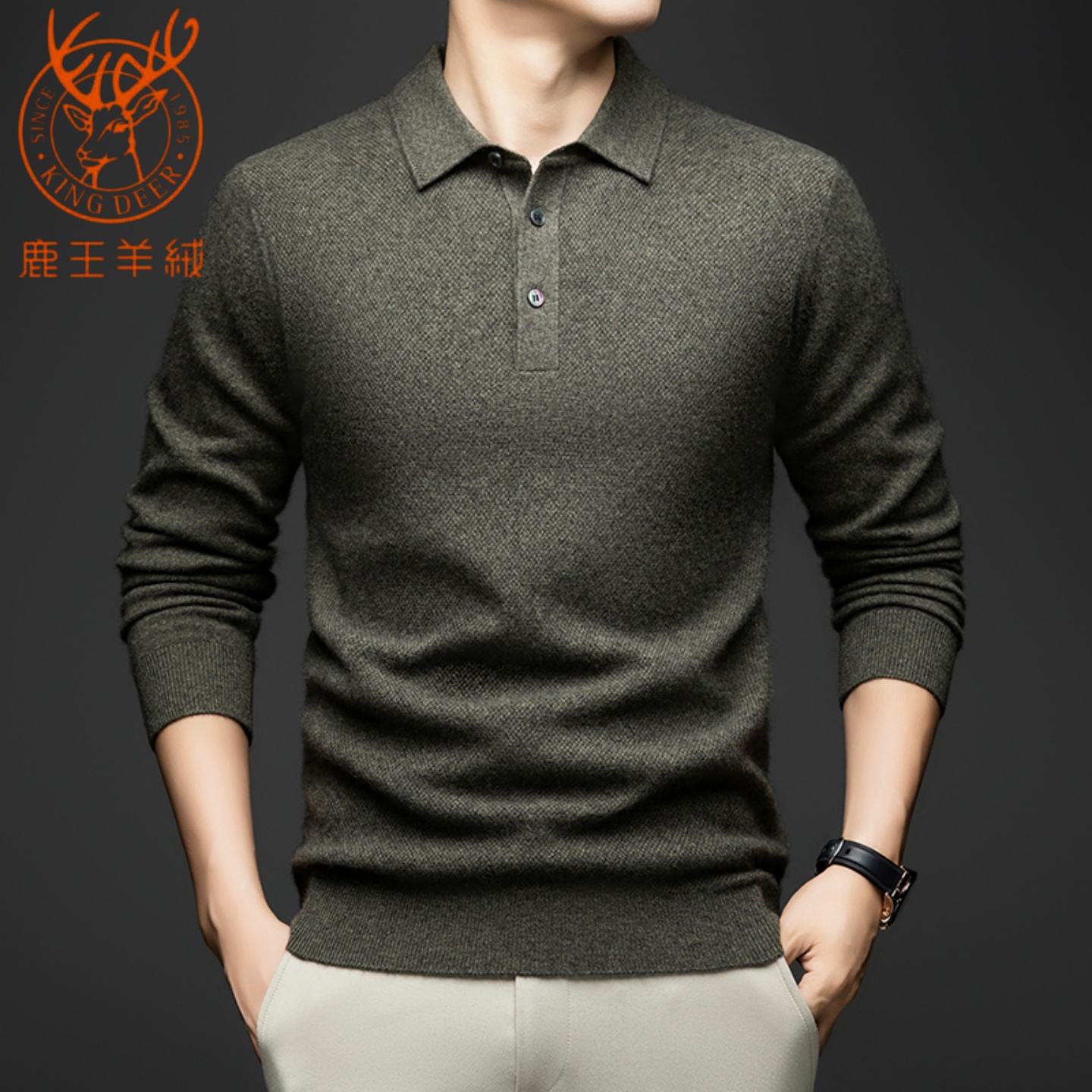 鹿王2025新款男士纯羊绒衫长袖翻领Polo衫加厚保暖休闲针织衫毛衣