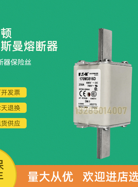 极速全新快速熔断器保险170M3811 170M3811D 1J70M3812 170M3812D