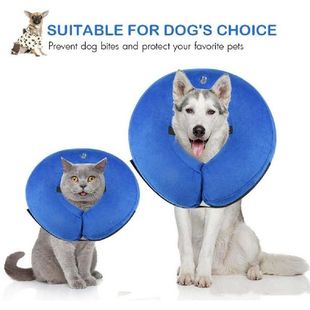 Dogp bite Collar Anti Injury Isabelino 极速Inflatable