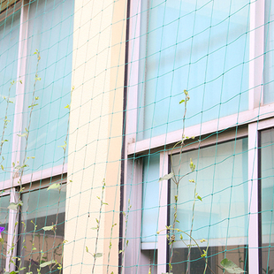 极速Green Wholesale Gardten Fence Mesh Plant Vines Climbing