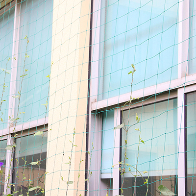 极速Green Wholesale Gardten Fence Mesh Plant Vines Climbing