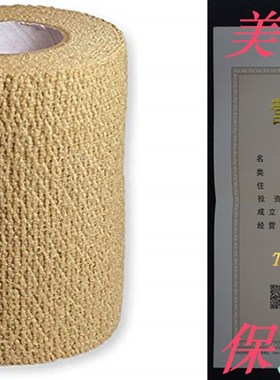 极速WellWear Self-adhering Bandage, 3 IncTh, 2 Count