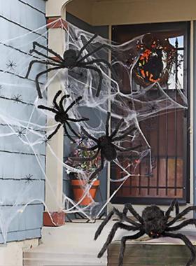极速30-200cm Black Scary Giaxnt Spider Huge Spider Web Hallo