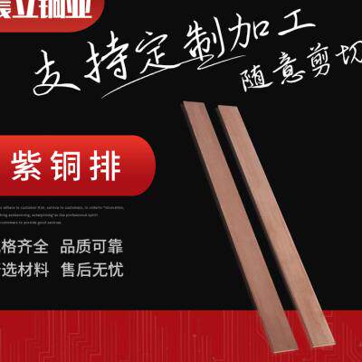 新品厂促温州T2T3电镀镀锡铜排TMY接G地铜母线机房 紫铜排 铜排