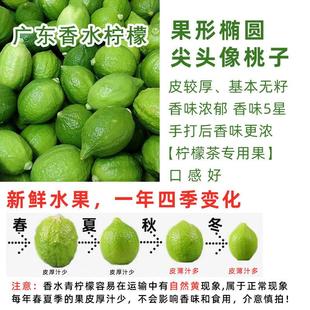 新鲜黄柠檬3斤奶茶店专用广东香水柠檬海南青柠檬水果柠檬茶 新品