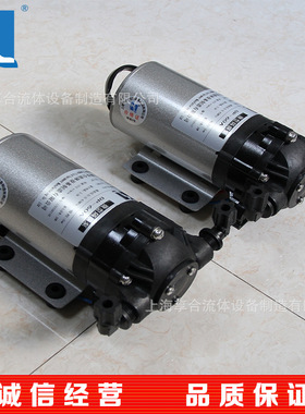 DP微型隔膜泵 纯水过滤机 DP-60A 山东水泵