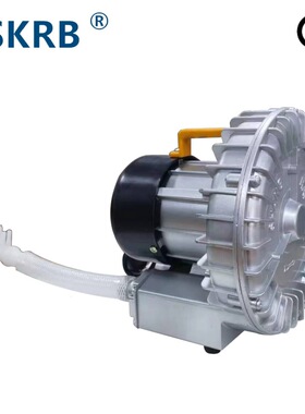 2RB110N-7AHA01 0.25KW250W吹膜机械设备用鼓风机高压旋涡鼓风机