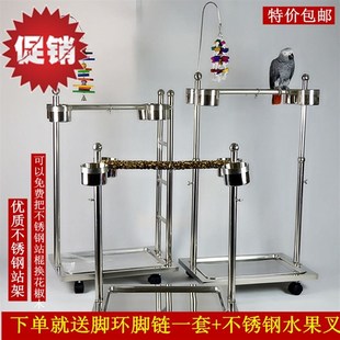 速发鹦鹉站架不锈钢升鸟架梯子架大型降压架力山大灰鹦鹉金刚葵花