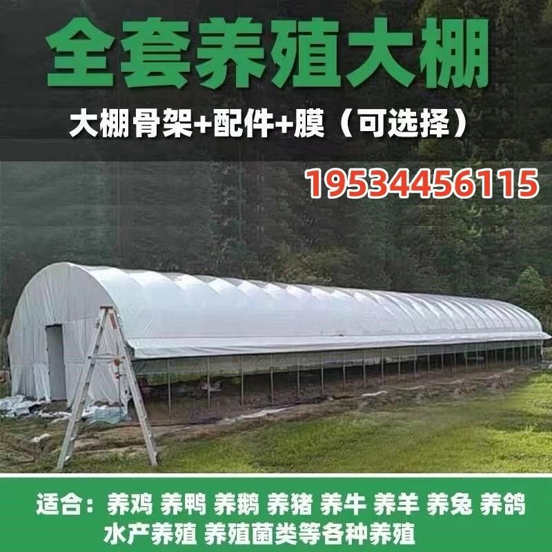 养殖大棚镀锌钢管骨架家禽鸡鸭鹅定制猪牛羊圈椭圆管全套保温棚