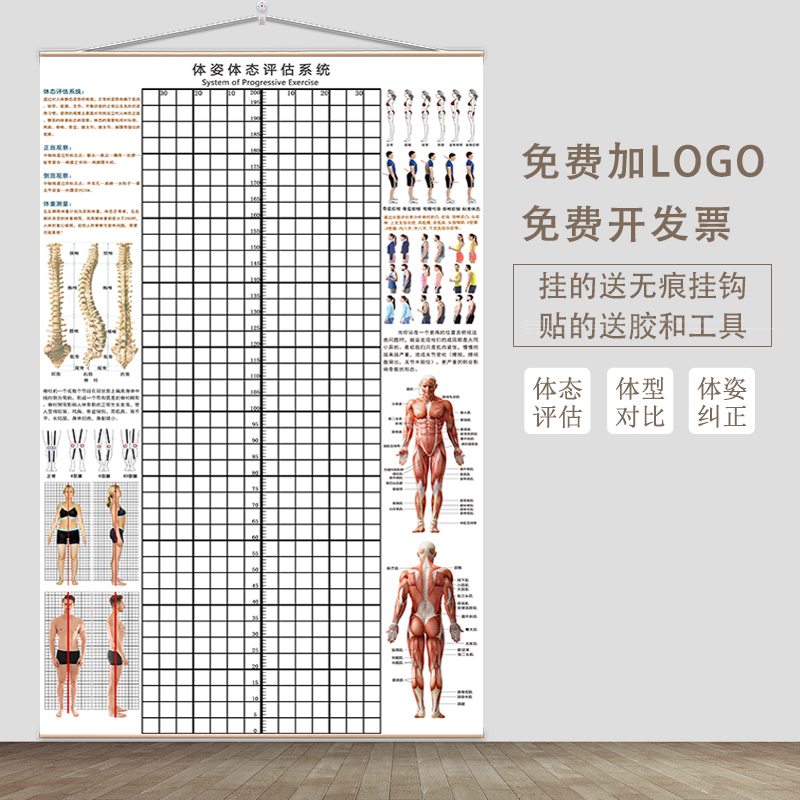 体态评估表挂式体测网格健身房瑜伽馆私教形体脊椎修复身体对比图