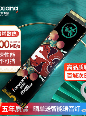 梵想S500PRO M.2固态硬盘1TB SSD高速存储NVMe协议512G笔记本2t