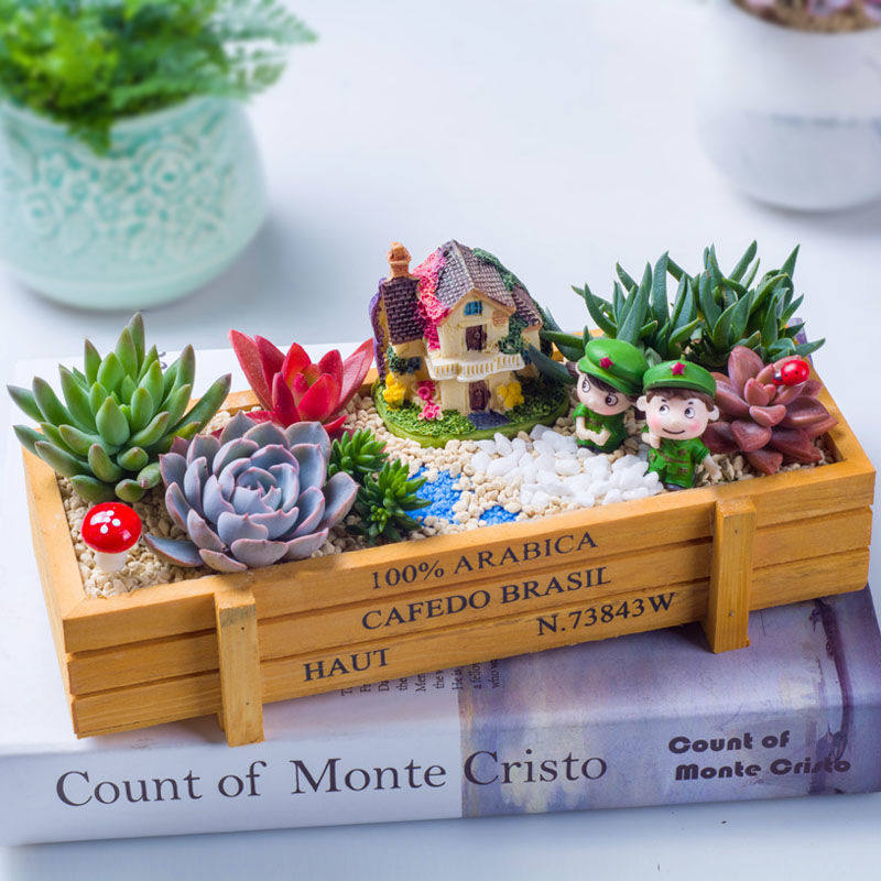 新款多肉植物组合盆栽阳台含盆含土肉肉植物木盒新手套餐植物肉肉,工业油品/胶粘/化学/实验室用品,实验室漏斗,淘宝优惠券,粉丝福利购,淘宝优惠卷