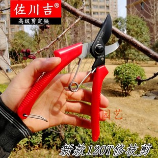 台湾进口佐川吉130T手剪SK5修枝剪120园艺剪果剪花剪园林剪刀包邮