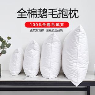 50全棉沙发腰靠垫办公室靠背垫 白鹅毛羽绒抱枕芯内胆羽毛靠枕45
