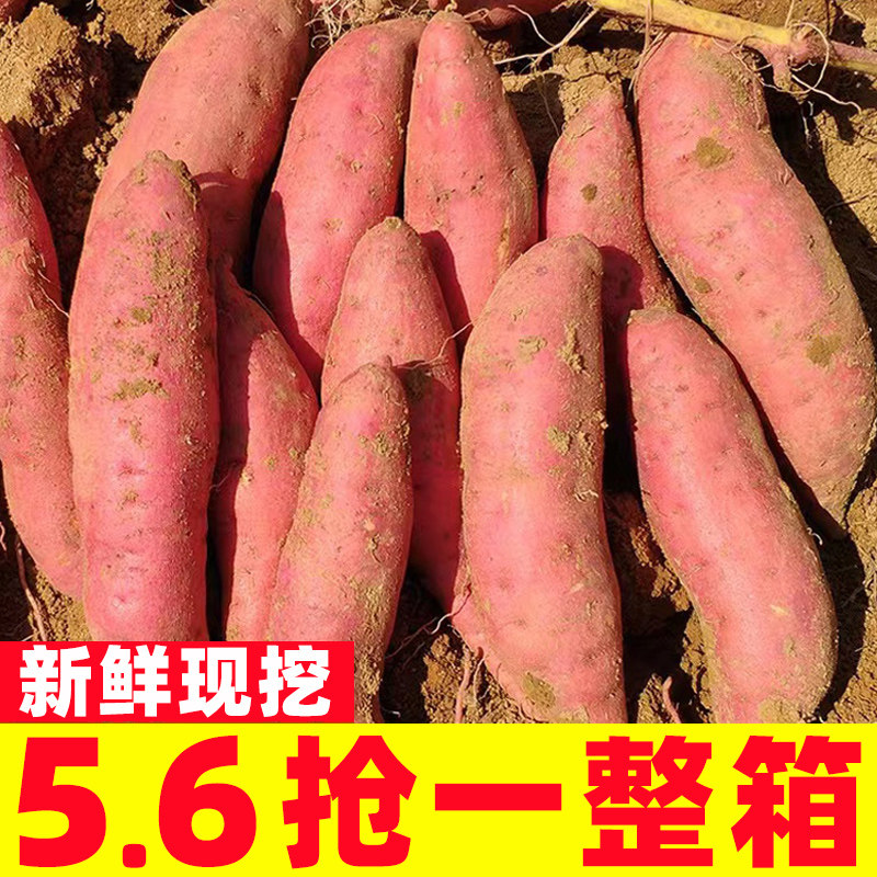 红薯正宗西瓜红蜜薯糖心新鲜番薯