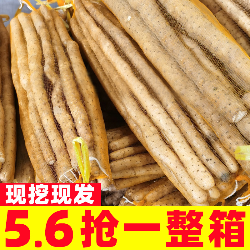 【农家自种】正宗铁棍山药精选
