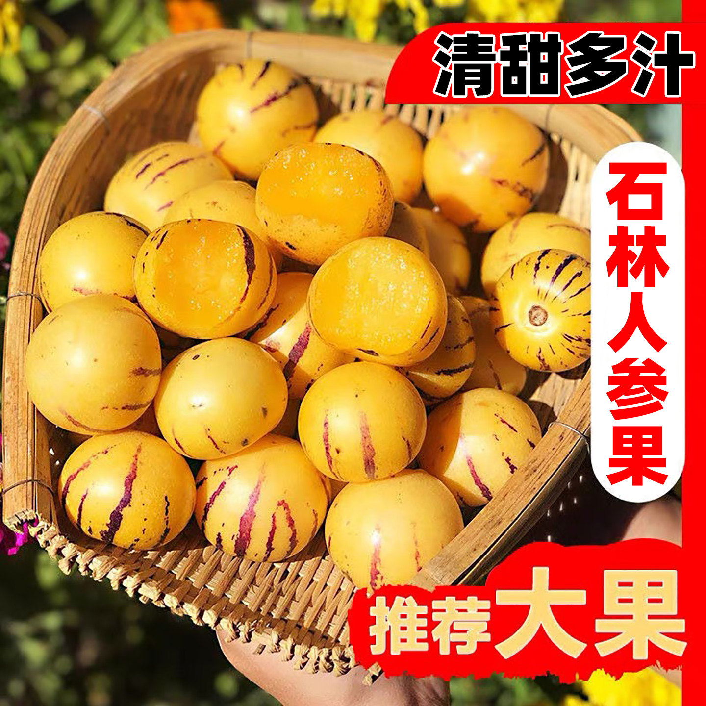 云南石林人参果5斤大果新鲜人叁果水果七彩黄肉圆果人生果包邮10