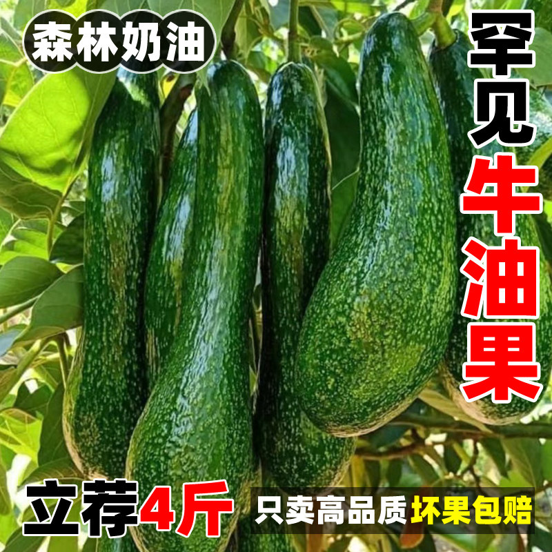 长条牛油果新鲜4斤罕见水果鳄梨应当季即食宝宝辅食大果孕妇包邮
