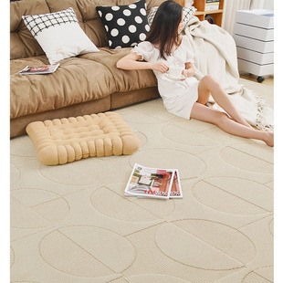 工厂客厅地毯卧室意式轻奢奶油风圈纹别墅床边高级感立体加厚A