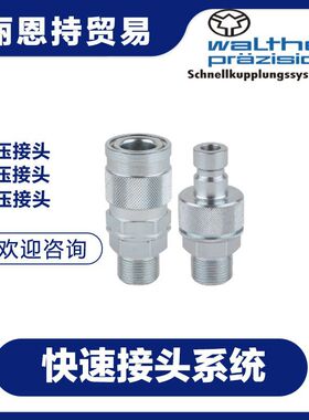 LP-019-0-WR026-11-1 快速接头 walther 瓦尔特 联轴器