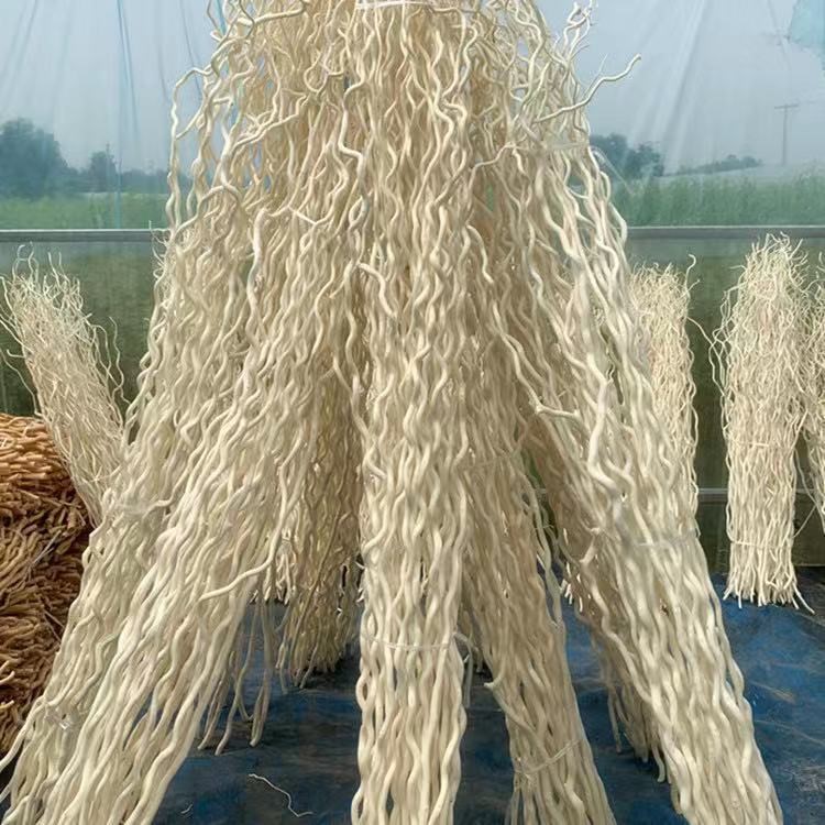 干树枝去皮龙桑干枝枯枝枯木树干挂件造型壁挂衣架龙柳枝条