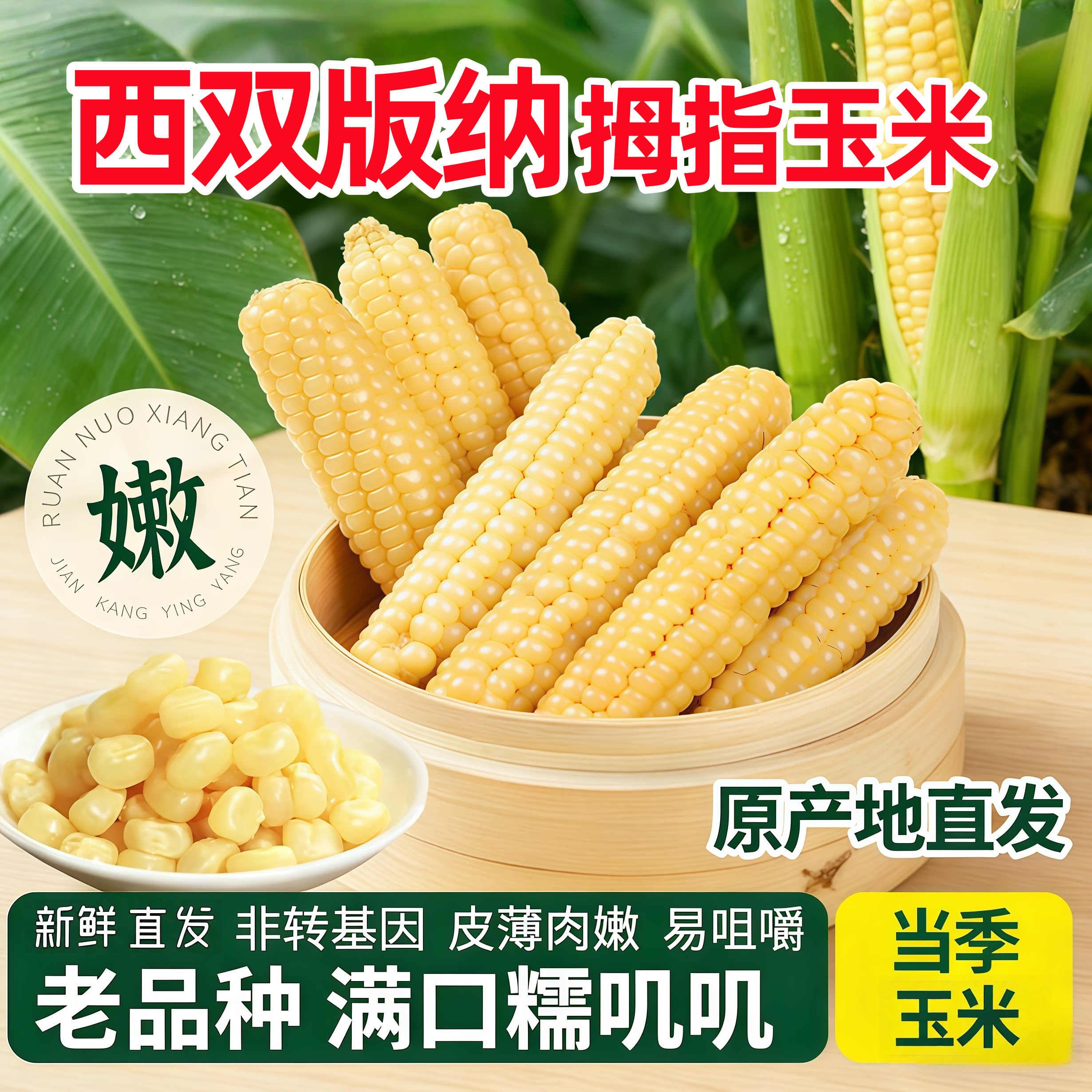云南西双版纳拇指小玉米新鲜甜香糯粘手指迷你儿童花糯苞谷棒特产