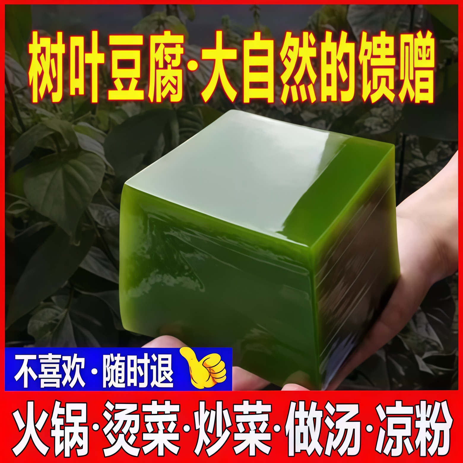 神仙豆腐粉凉拌菜半成品商用淘菜菜斑鸠叶树叶观音绿凉粉叶子凉菜