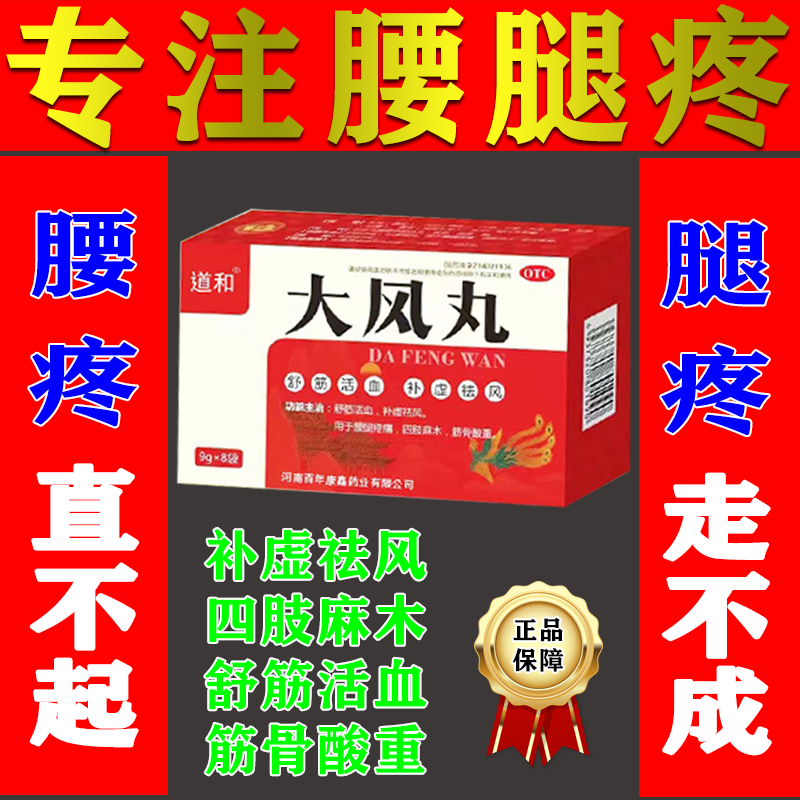 【人福医药】大风丸9克*8袋/盒