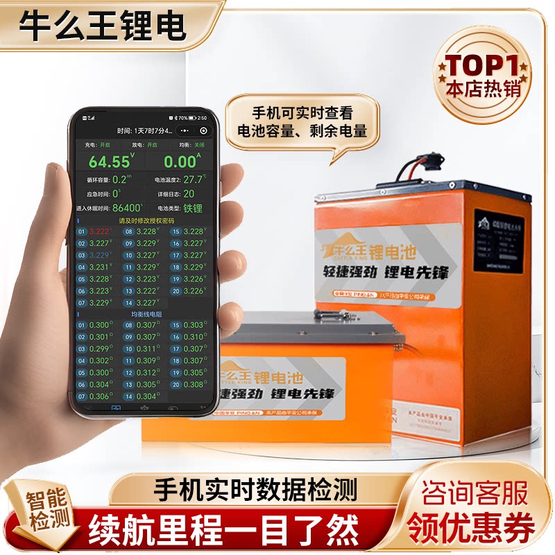 牛么王锂电池国轩系列60V锂电池72V两轮三轮四轮车大容量锂电池