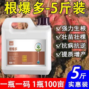 速发根多多爆力生根剂菌ME生根菌肥生根剂强根剂大包装生根壮苗冲