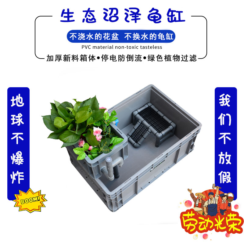 速发周转箱生态沼泽植物滤过免台水龟缸草龟蛋龟鳄龟带晒换 沼泽