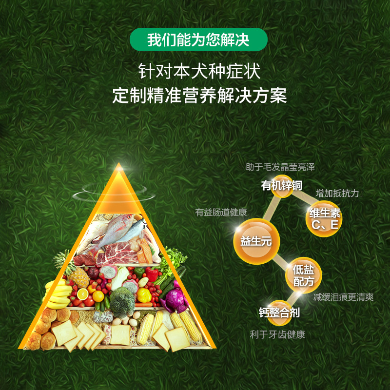 速发2斤kg400牧毛德金拉布拉多萨摩耶小中型犬成犬幼犬