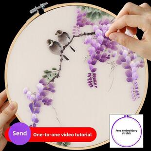 苏绣刺绣手工diy套件自绣材料包初学古风自绣入门针迹紫藤花鸟