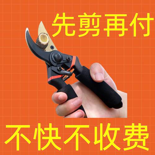 新款工艺SK5强力园艺剪不锈钢省力修剪枝果树粗枝树枝专用剪子