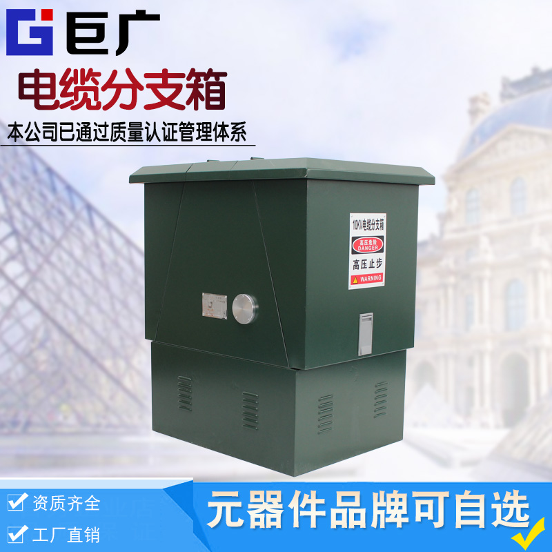 速发10KV欧式高压电缆分支箱分接箱DFW-12/60A户外一进一二三四五