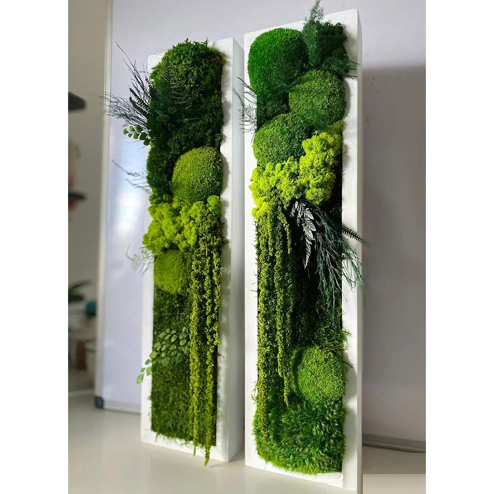 永生苔藓绿植壁挂挂件挂饰壁饰立体植物墙绿植高档墙桌面装饰摆件