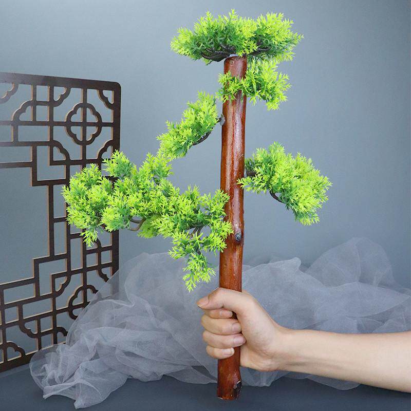 刺身摆盘装饰仿真松树盘饰花草意境菜海鲜姿造拼盘迎客松创意摆件