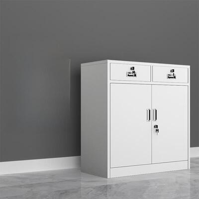中二斗下节矮柜办公室钢制铁皮文件柜车间带锁工具柜收纳储物柜子