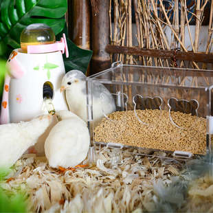 极速芦丁鸡喂食器自动饮水器食A槽亚克力透明食盒鹌鹑防刨食小鸡