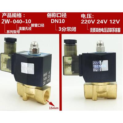 4分室外专 用防水电磁阀阀 水气阀 6分防雾电磁阀 1寸220V24V 12V