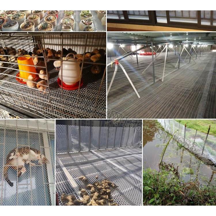 塑料平网格防护防猫阳台防盗封窗户网垫板养殖养蜂养鸡鸭围栏小孔
