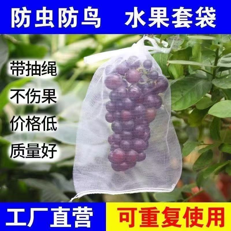 热销水果防虫网袋葡萄防虫防鸟专用袋瓜J果套枇杷白色纱网套袋透