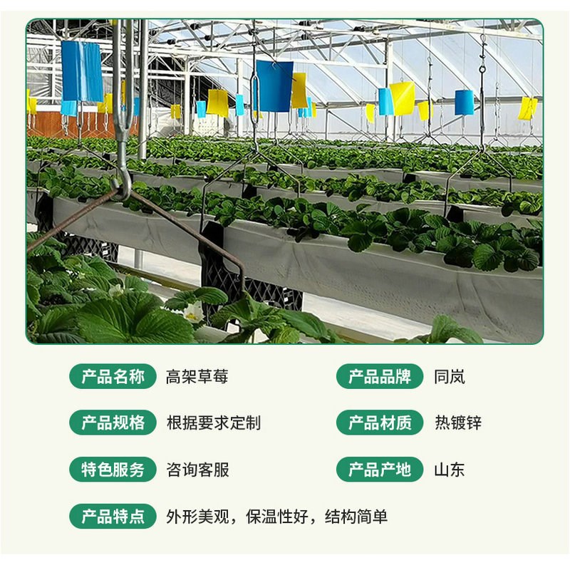 热销槽草莓无土栽培设备农业水培种植蔬菜种植槽R空中草莓立体种